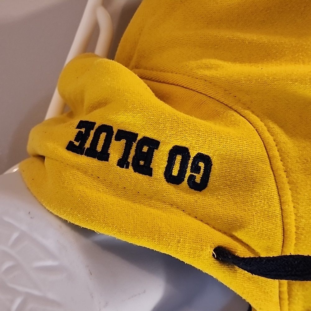 Michigan Wolverines unisex hoodie. - Picture 4 of 8